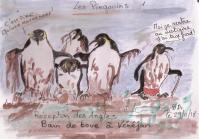 Pingouins bain de boue
