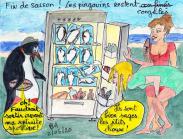 Pingouins congelation