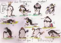 Pingouins portraits1